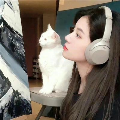 沙哈达